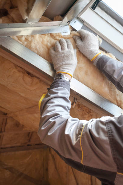 Best Insulation Maintenance and Repair in Vinton, VA