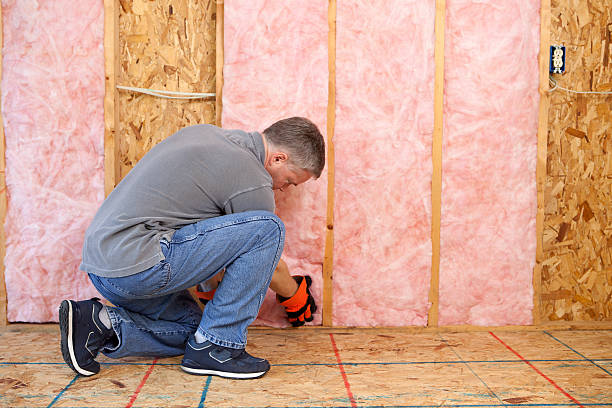 Best Commercial Insulation in Vinton, VA